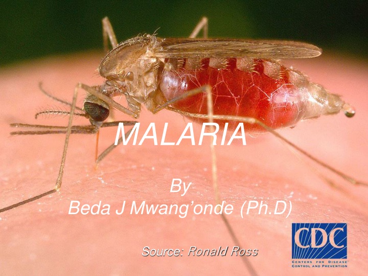 malaria