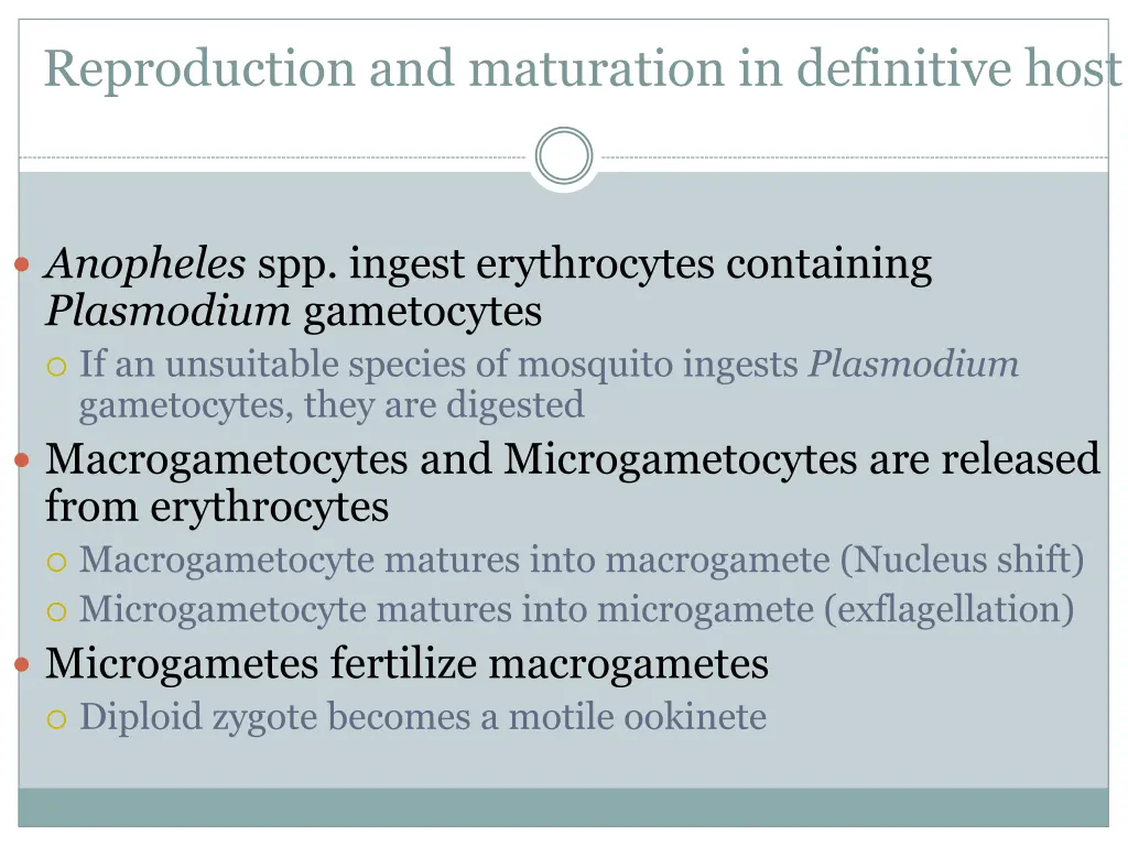reproduction and maturation in definitive host
