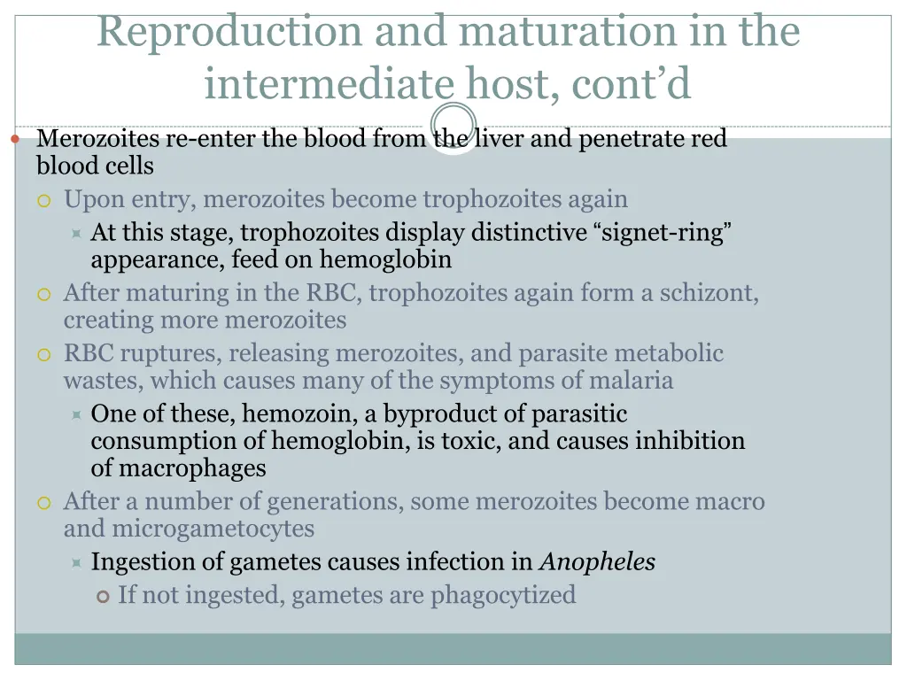 reproduction and maturation in the intermediate 1
