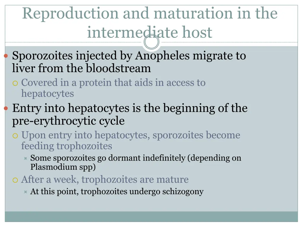 reproduction and maturation in the intermediate
