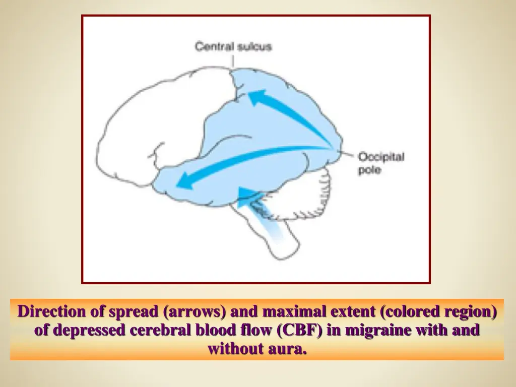 direction of spread arrows and maximal extent