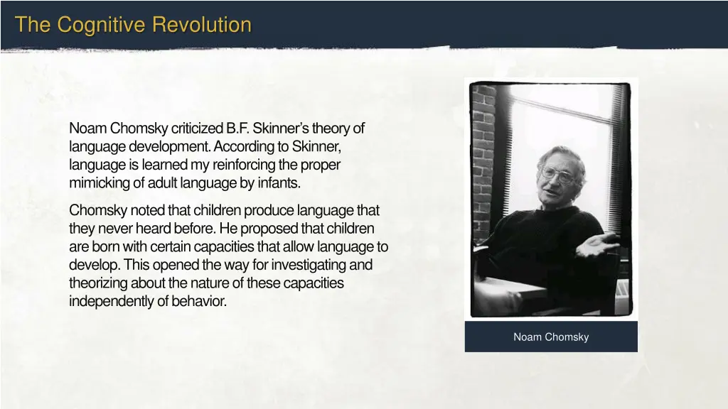 the cognitive revolution