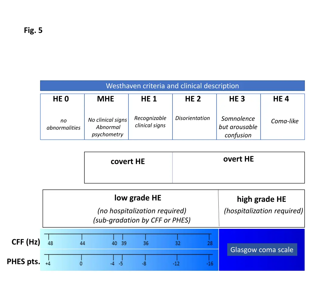fig 5