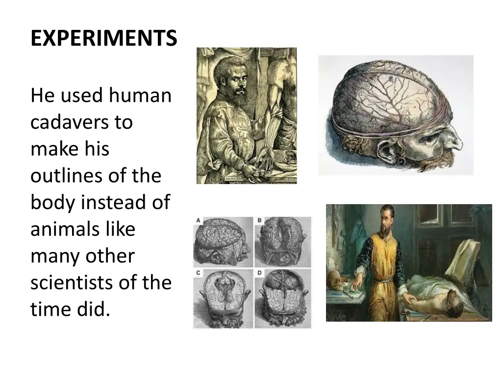experiments