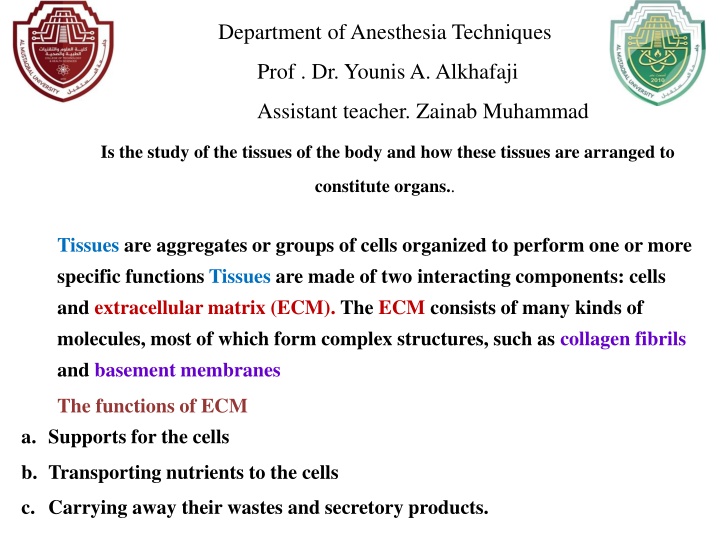 department of anesthesia techniques