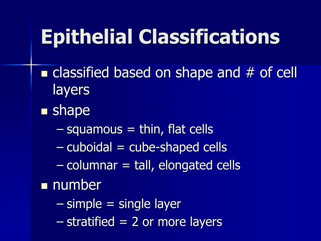 epithelial classifications