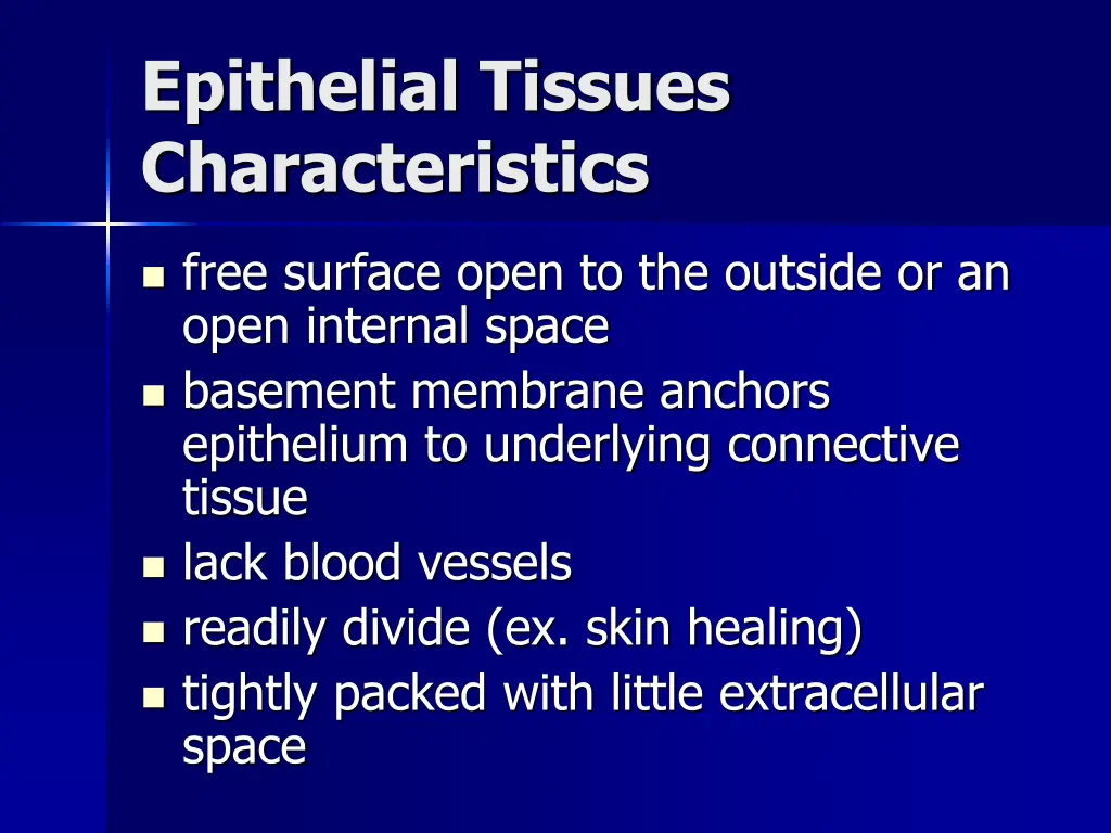 epithelial tissues characteristics