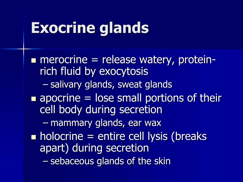 exocrine glands