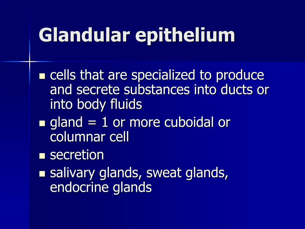 glandular epithelium