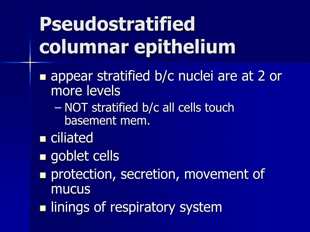 pseudostratified columnar epithelium