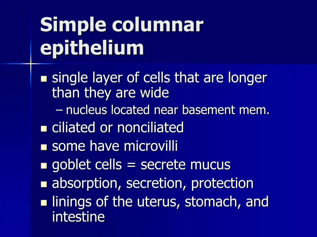 simple columnar epithelium