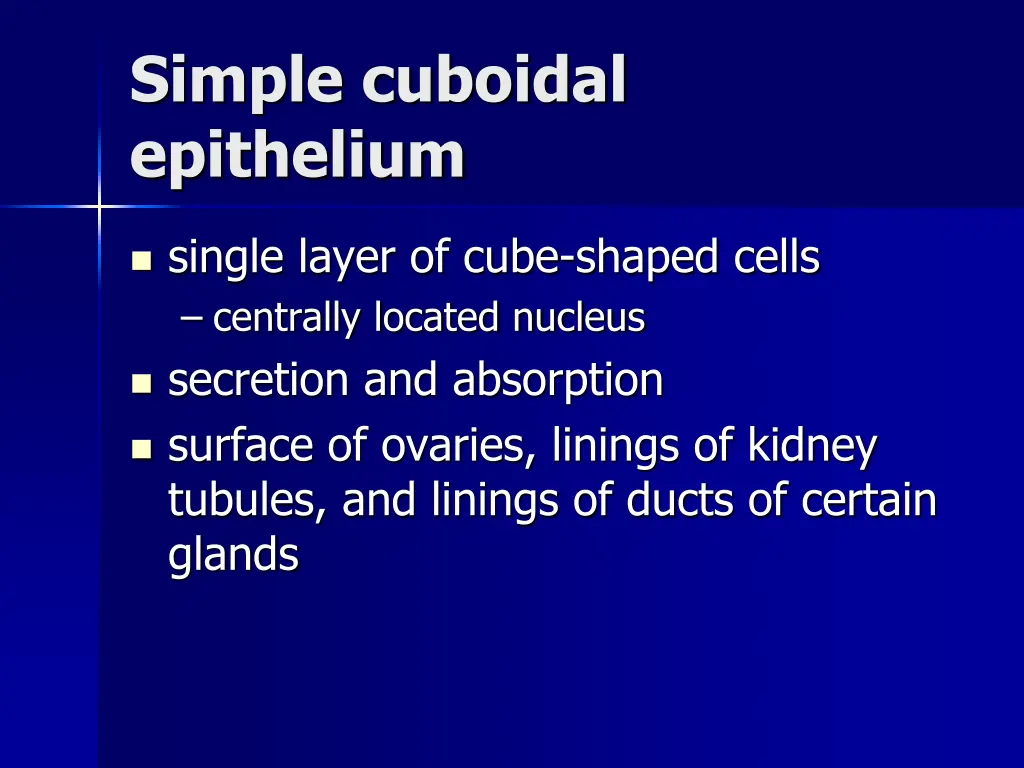 simple cuboidal epithelium