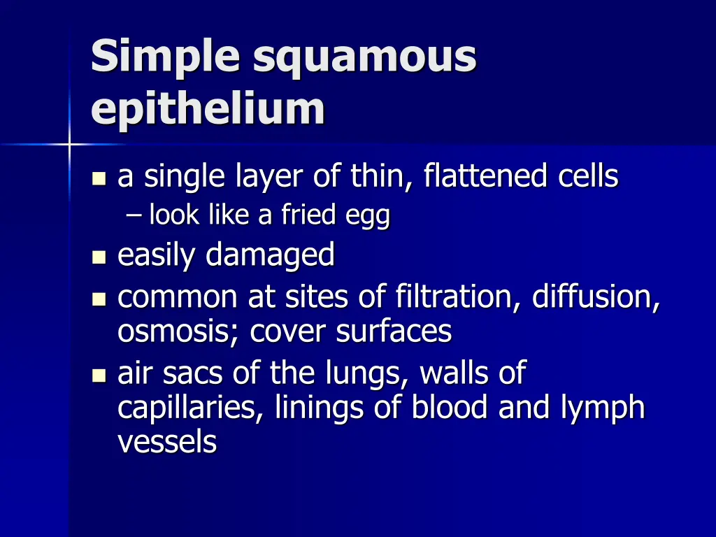 simple squamous epithelium