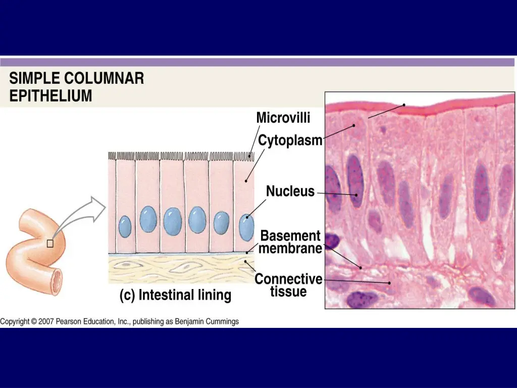 slide12