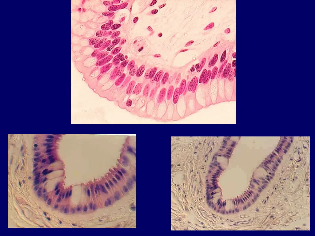 slide20