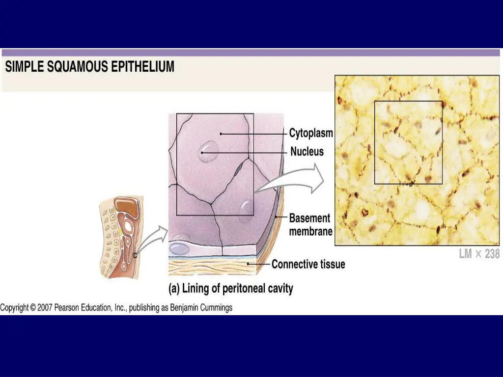 slide8