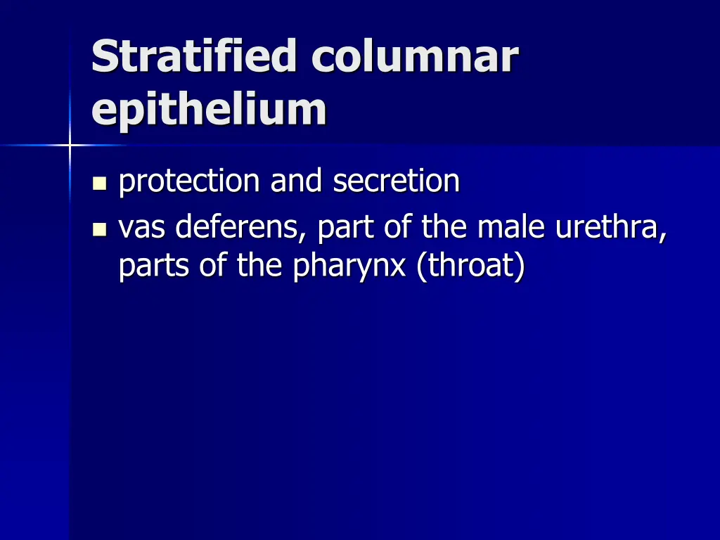 stratified columnar epithelium