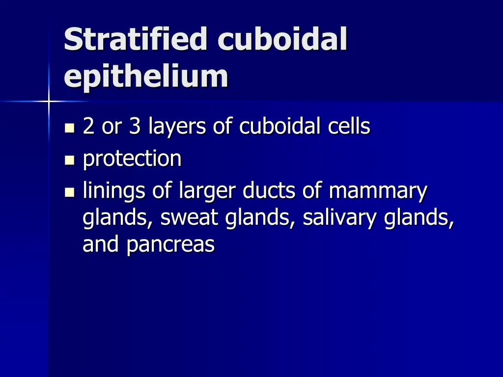stratified cuboidal epithelium