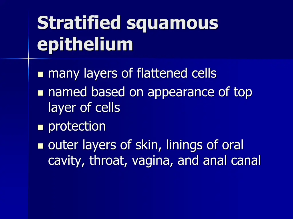 stratified squamous epithelium