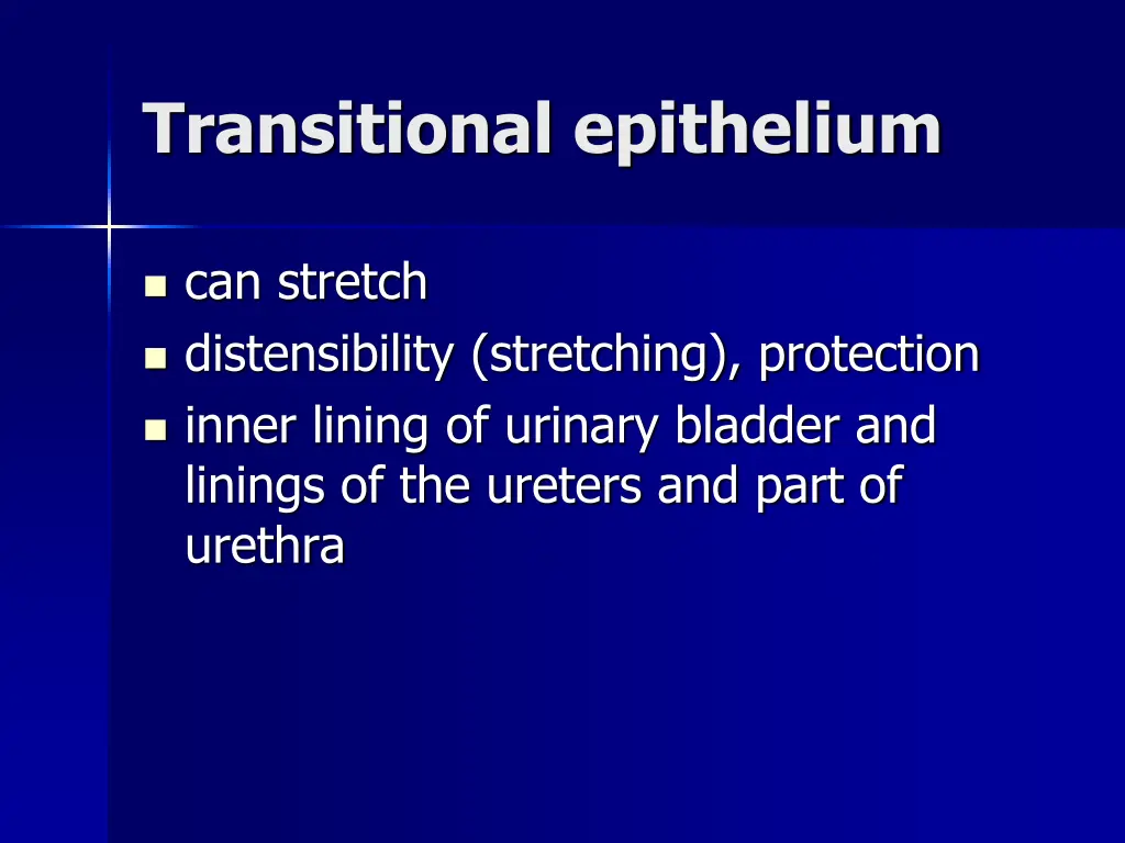 transitional epithelium