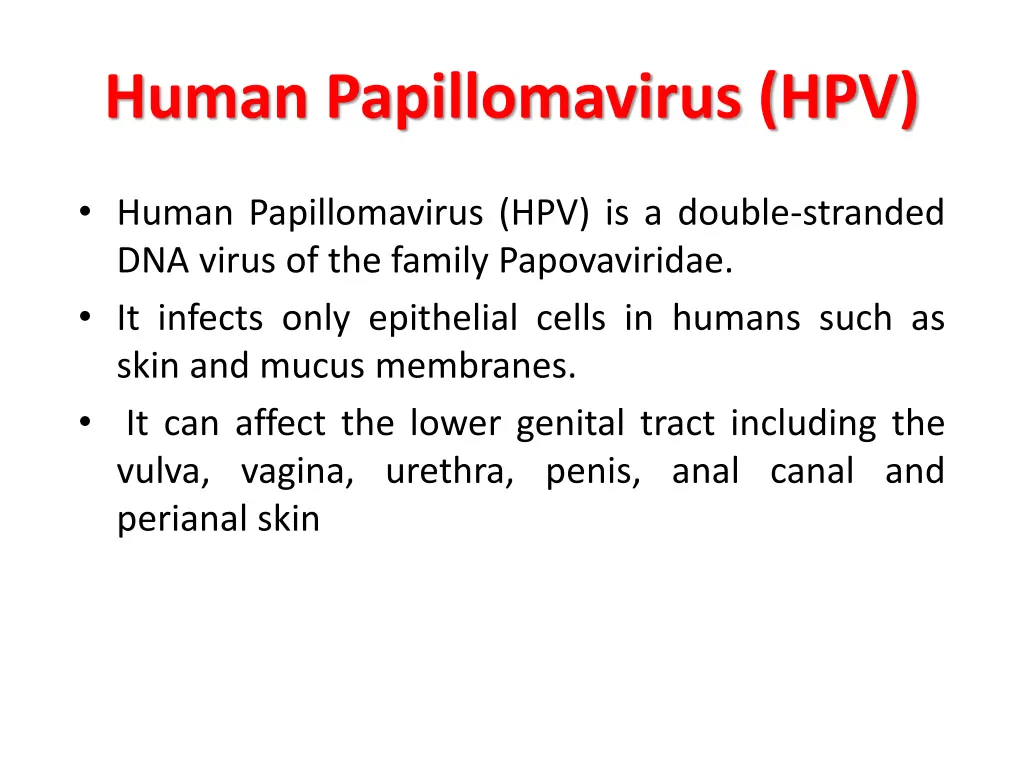 human papillomavirus hpv
