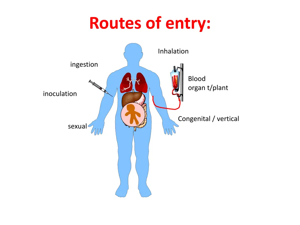 routes of entry