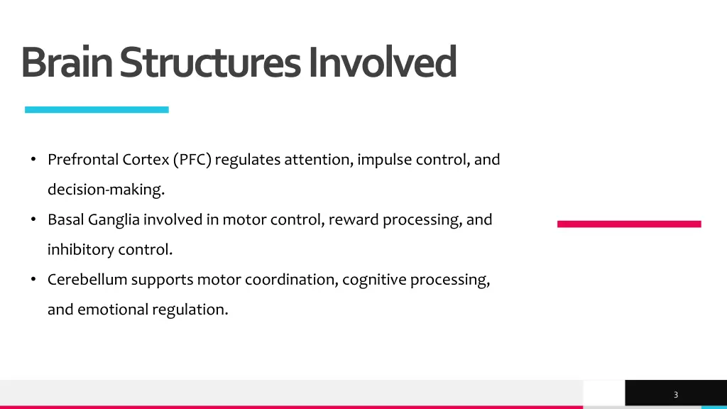 brain structures involved
