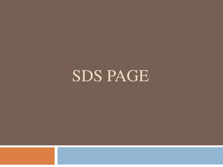 sds page