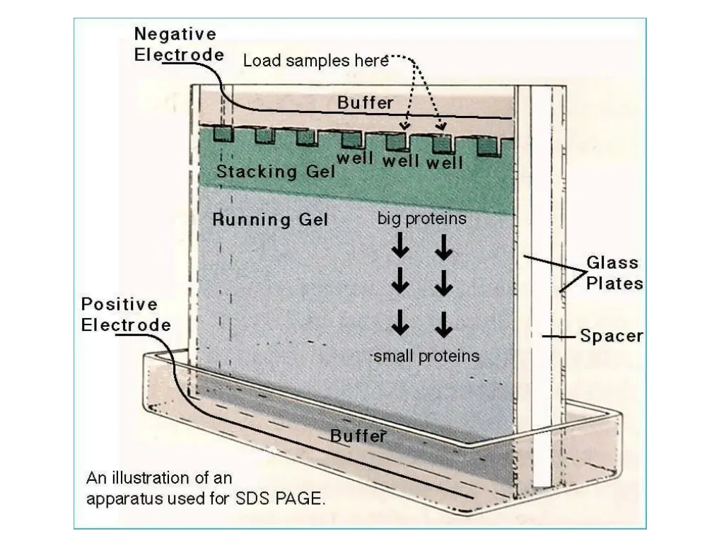 slide5