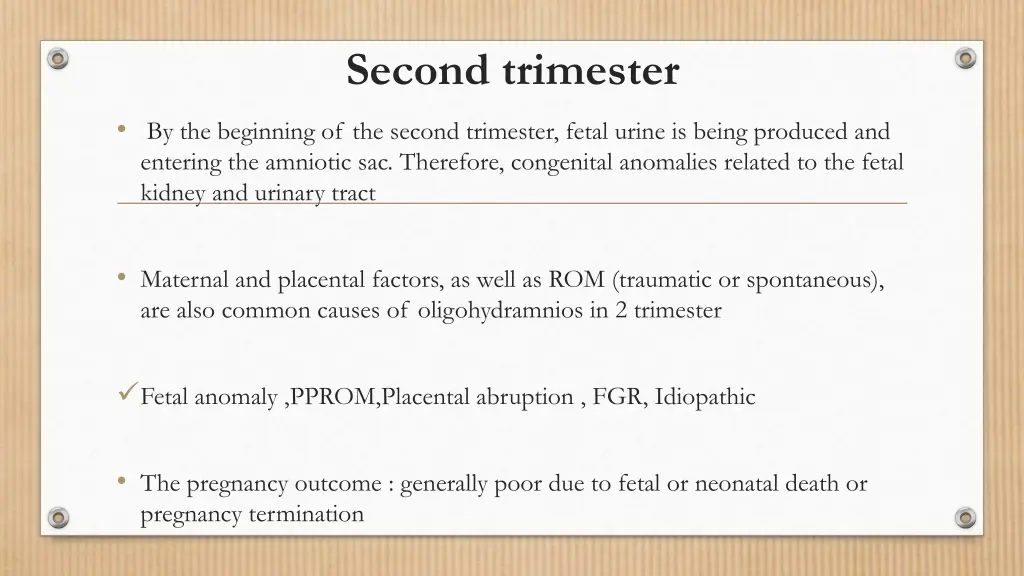 second trimester