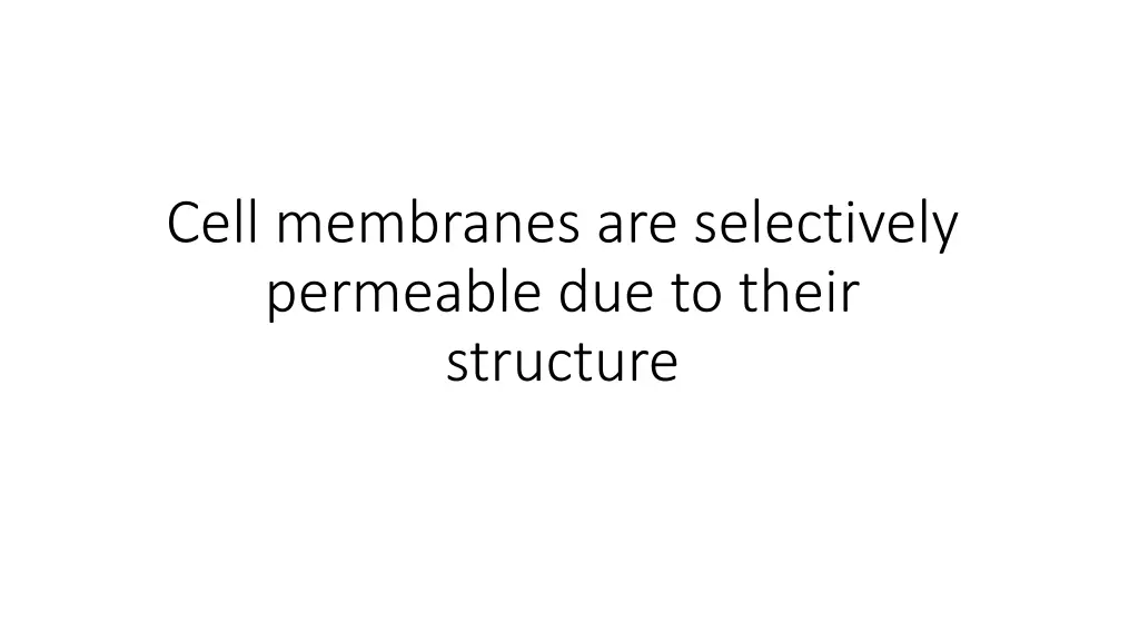 cell membranes are selectively permeable