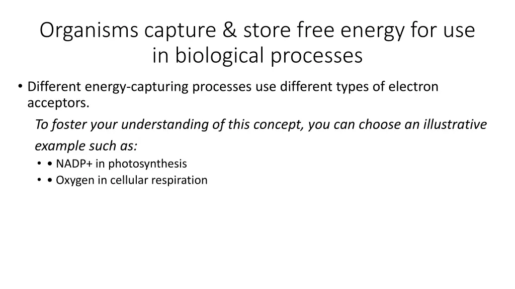 organisms capture store free energy 1