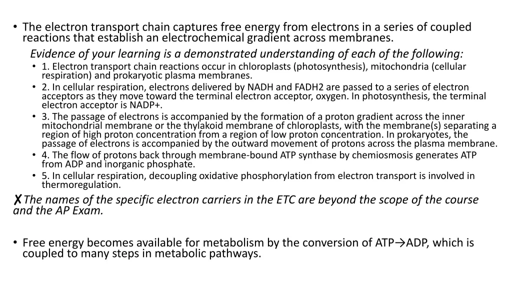 the electron transport chain captures free energy