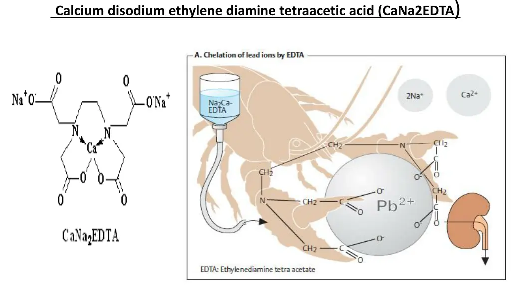 calcium disodium ethylene diamine tetraacetic