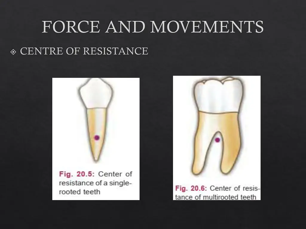force and movements 3