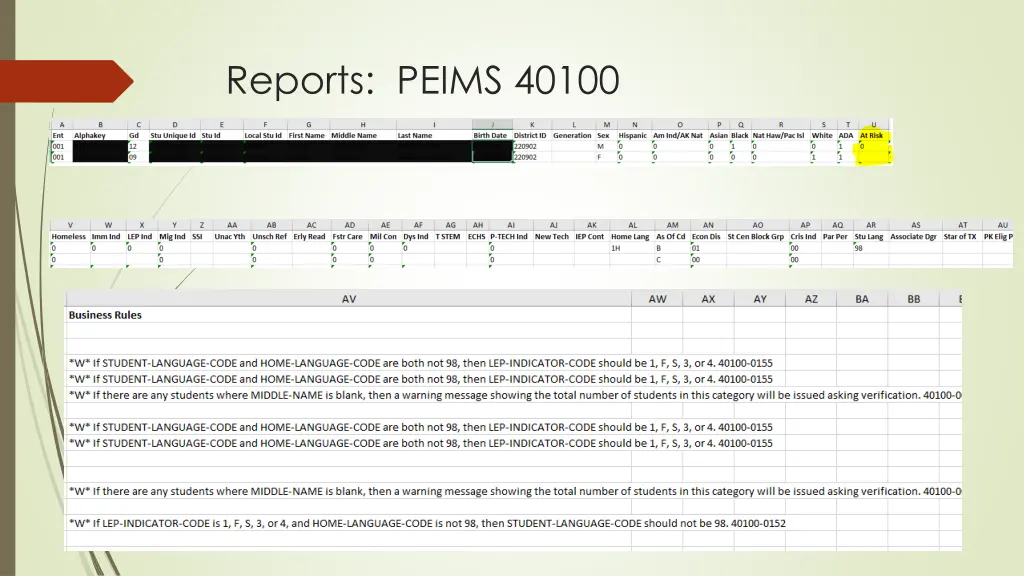 reports peims 40100 2