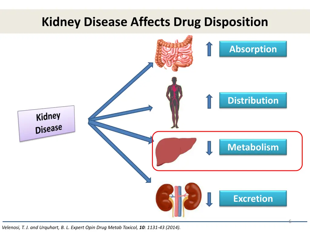 kidney disease affects drug disposition