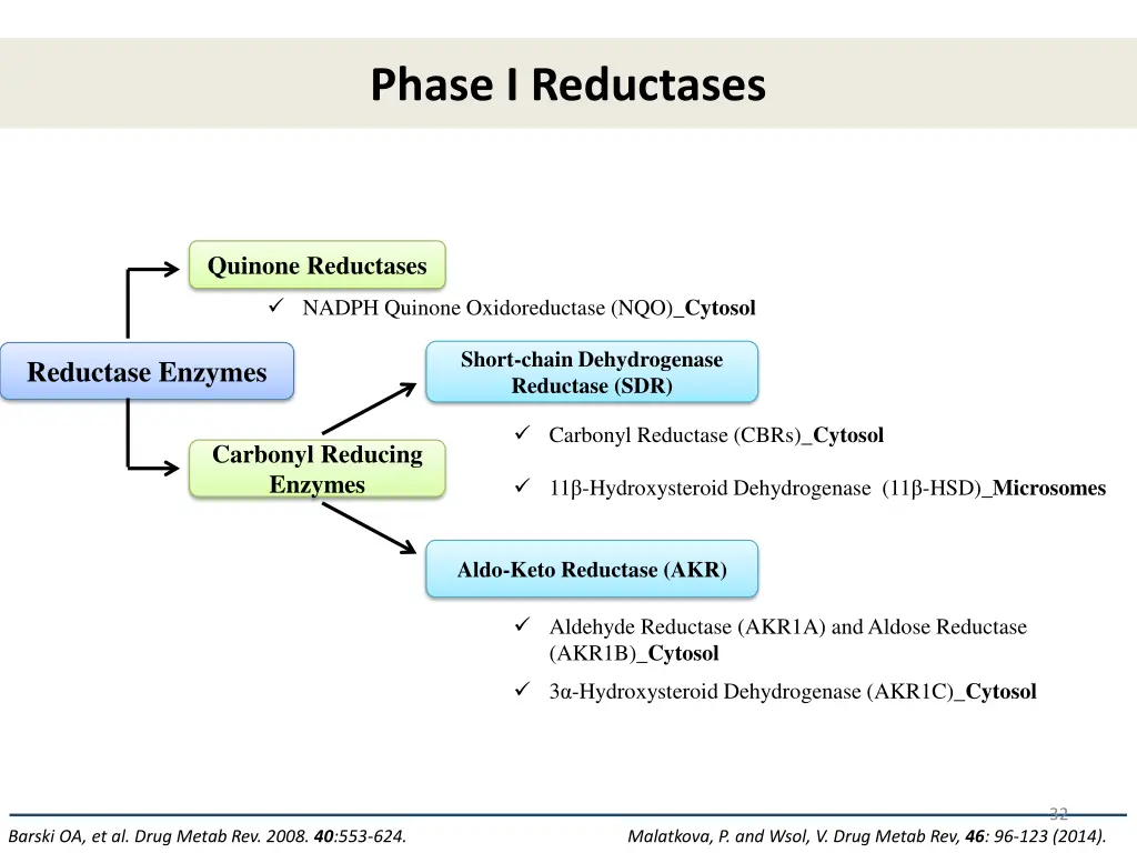 phase i reductases 1