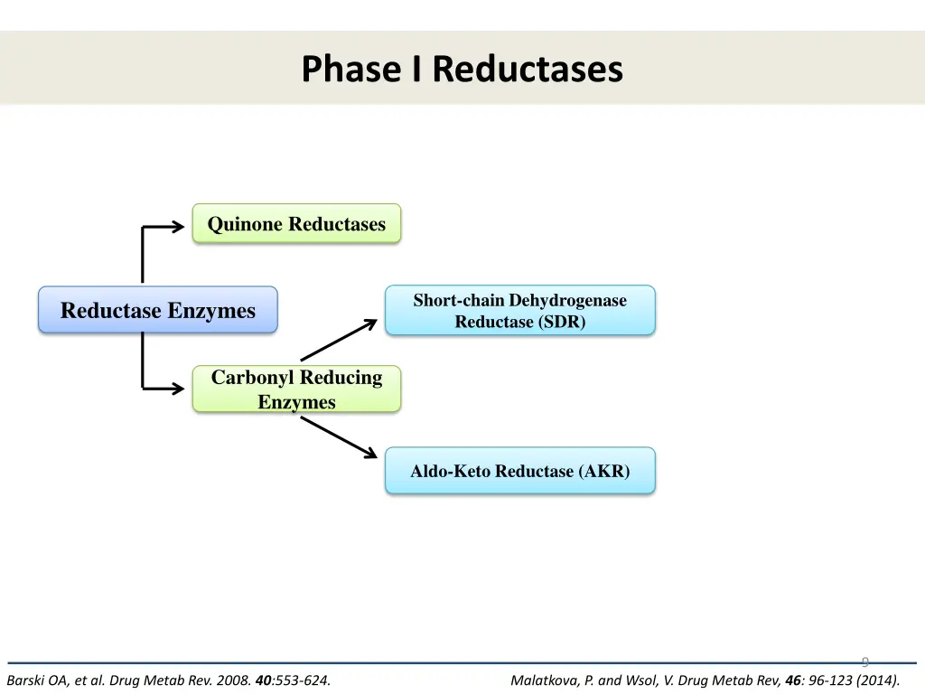phase i reductases