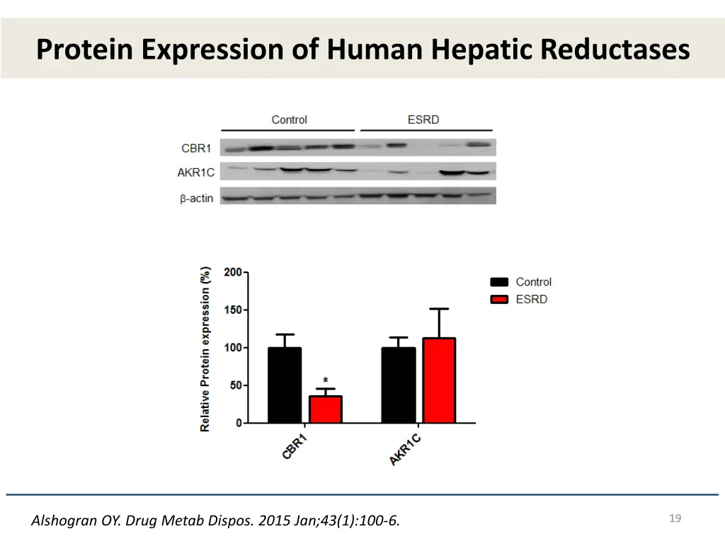 protein expression of human hepatic reductases