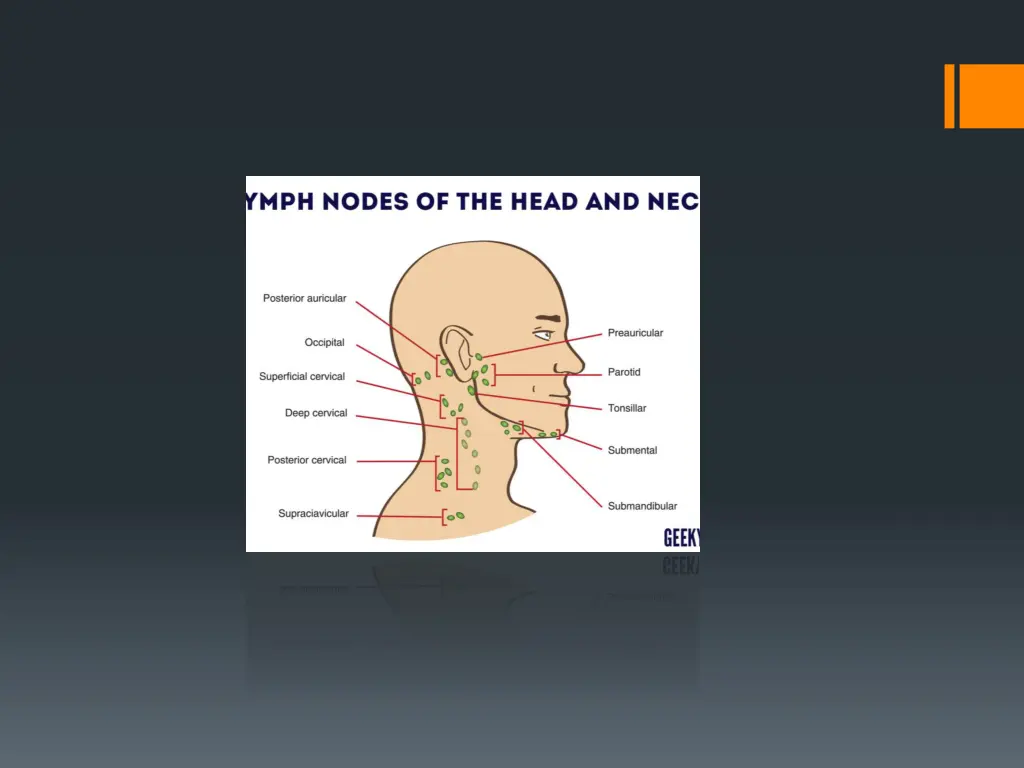 slide14