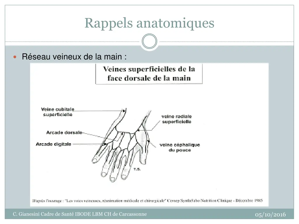 rappels anatomiques 1