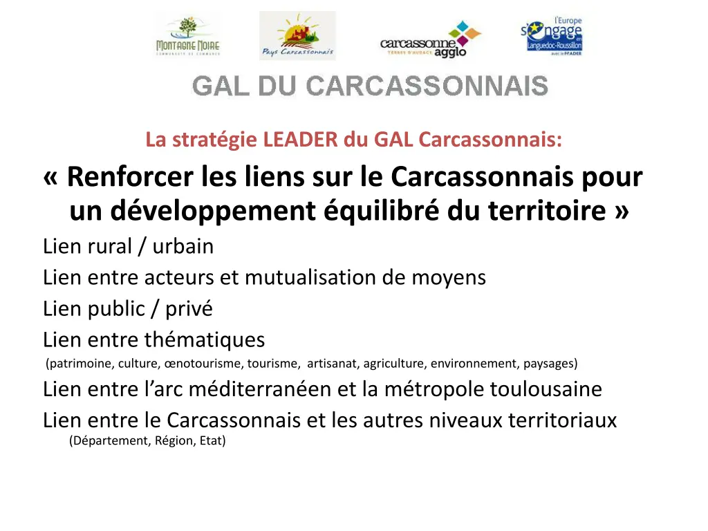 la strat gie leader du gal carcassonnais