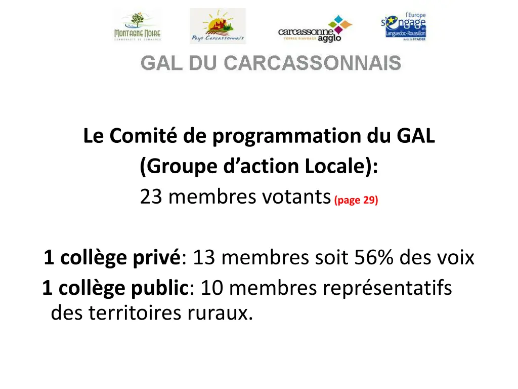 le comit de programmation du gal groupe d action