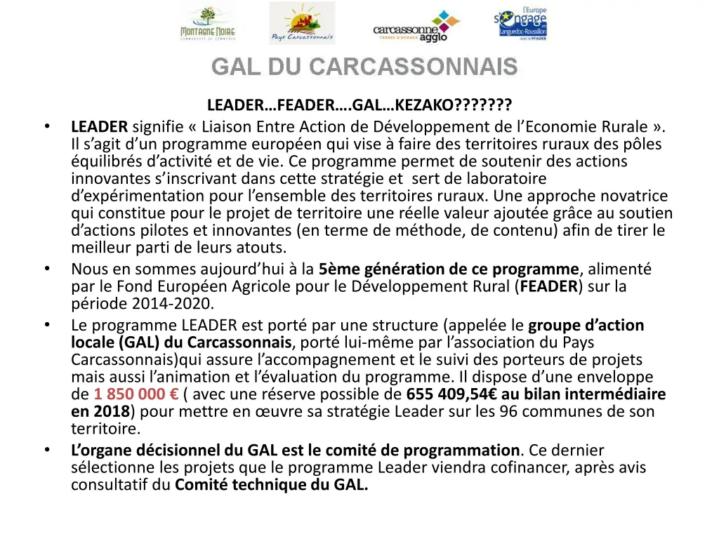 leader feader gal kezako leader signifie liaison
