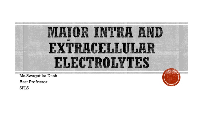 major intra and extracellular electrolytes