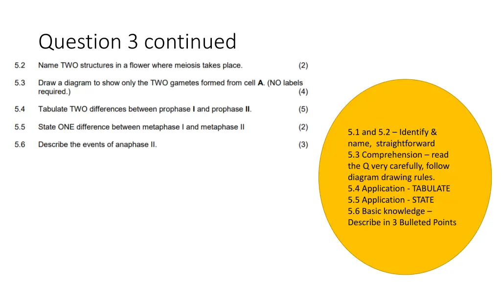 question 3 continued