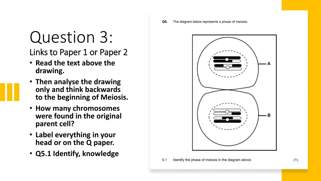 question 3 links to paper 1 or paper 2 links