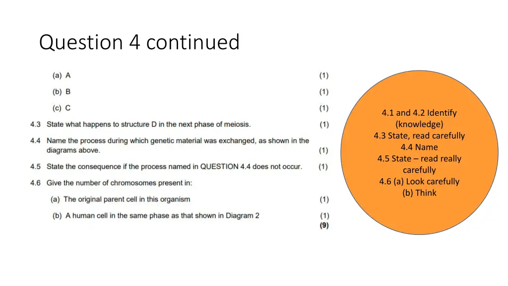 question 4 continued