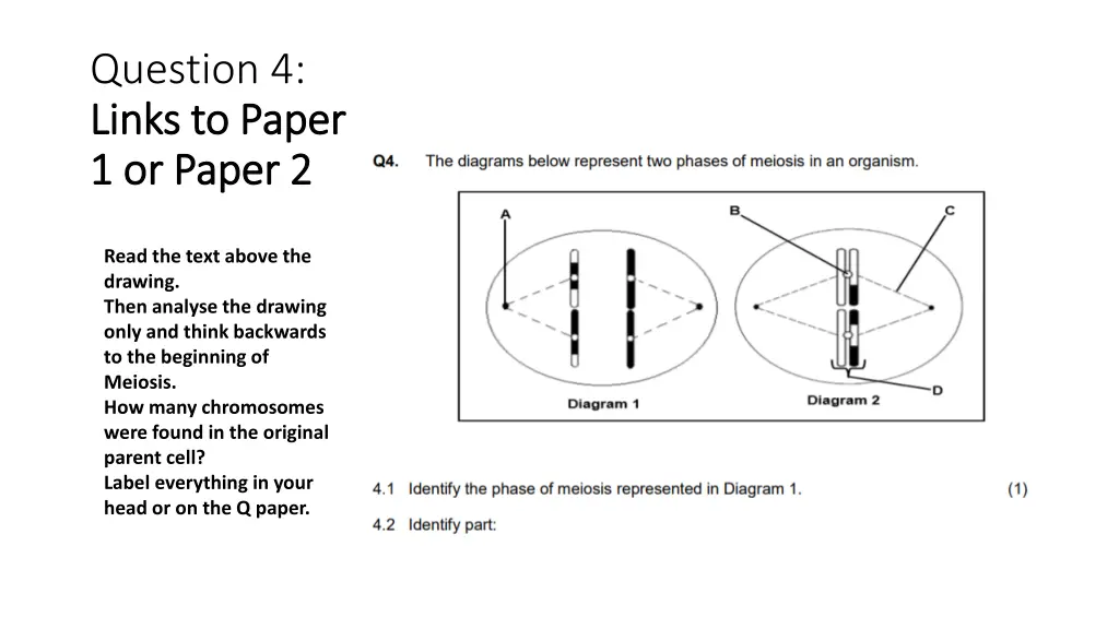 question 4 links to paper links to paper
